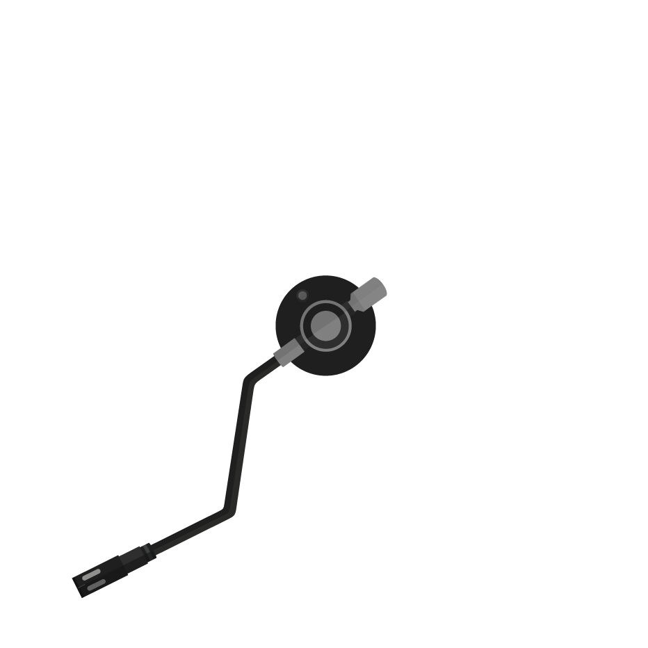 record arm